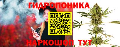 прущие грибы Можайск