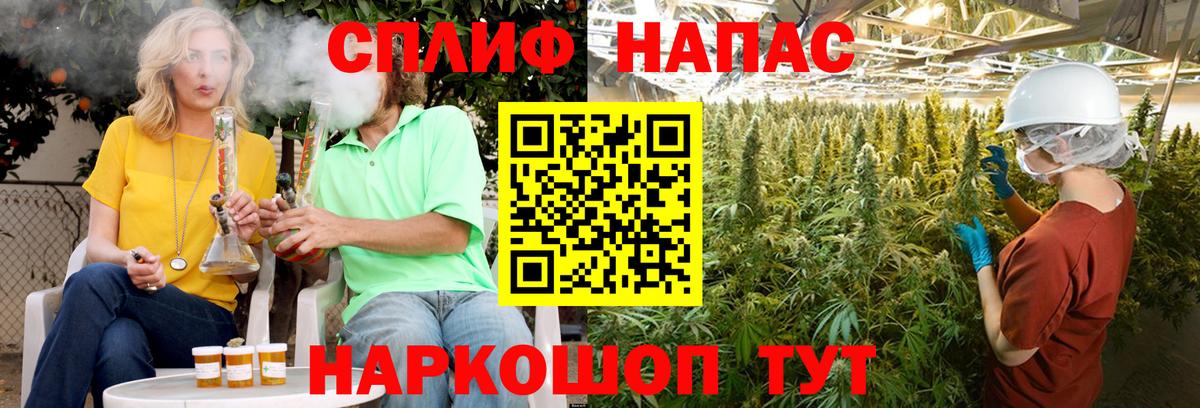 Шишки марихуана марихуана  Вход с VPN  Каннабис марихуана  Шишки марихуана тримм  Шелехов 